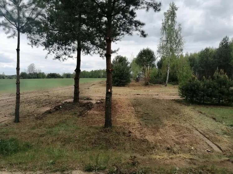 Jak wykarczować działkę: proste kroki do efektywnego oczyszczenia terenu