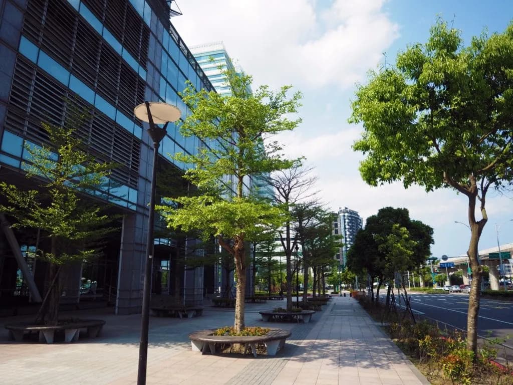 Jakie drzewa sadzić na osiedlach, aby uniknąć problemów z korzeniami?