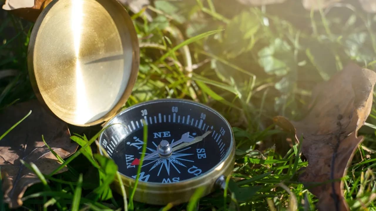 Nieruchomość niezabudowana co to znaczy? Kluczowe informacje i przykłady