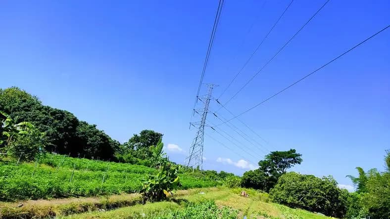 Ile wynosi odszkodowanie za słupy energetyczne na działce? Sprawdź!